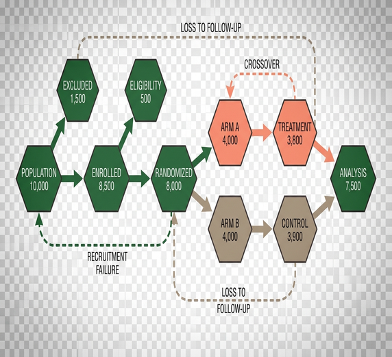 Image showing cohort diagram